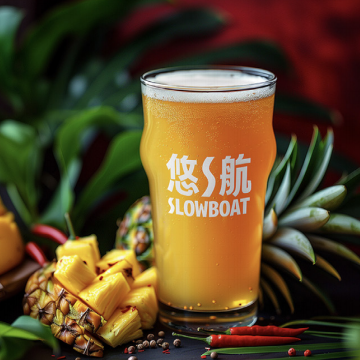 双子舵手芒果菠萝大椒酸艾尔